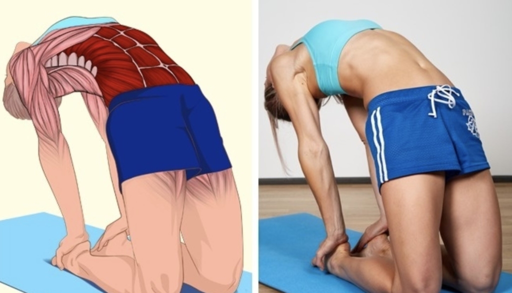 Зашто је истезање важан савезник у очувању леђа post thumbnail image